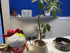 -天真蓝照相馆(五角场百联又一城店)