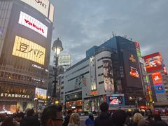-涩谷全向十字路口