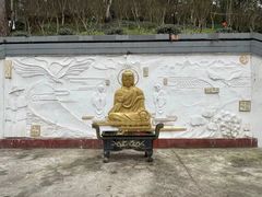 -大金鹰园