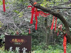 -伍山海滨石窟
