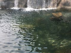-85度C(厦门台湾街店)