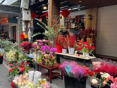 -溪岸路花鸟市场