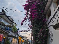 -尽善百年古院餐厅(王家老宅店)
