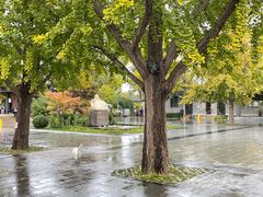 -北京鲁迅博物馆(北京新文化运动纪念馆鲁博馆区)