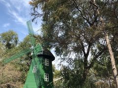 -黑龙江省森林植物园