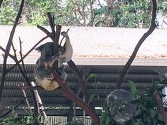 -可伦宾野生动物保护区