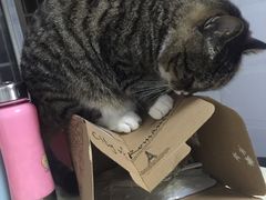 -兔兔家蛋糕甜品(德胜店)