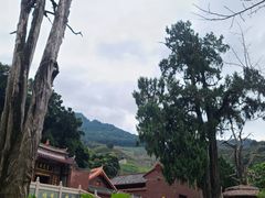 -灵光寺