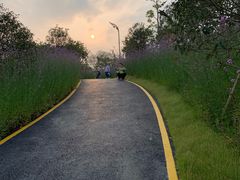 -飞凤山奥体公园