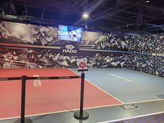 -VS SPORTS PARK运动玩乐园·团建·生日会(合生汇店)