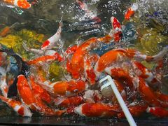 -太平洋海底世界