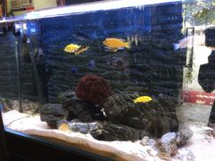 -臻味私厨(国际社区店)