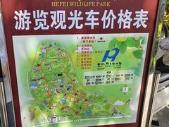 -合肥野生动物园