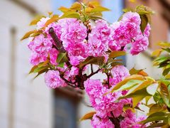 -西山漾湿地公园