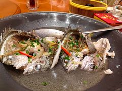 -国家五钻酒家·西樵旺阁渔村(西樵店)