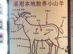 -老村长大锅炖羊肉(榆林大道店)