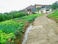 -驿舍·民國老营房院子私房菜(科学会堂店)