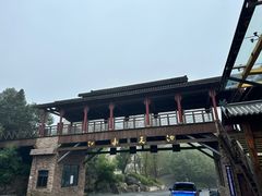 -江南天池