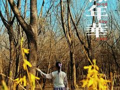 -塘沽森林公园