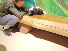 -萌宠奇缘