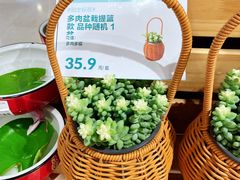 -盒马鲜生(皇庭广场店)