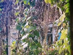-姥家大锅台水库渔家