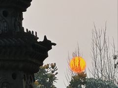-徐州龟山景区