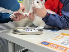 -伟伟宠物医院·CT影像中心·瑞派犬猫综合性门诊(汉口总院)