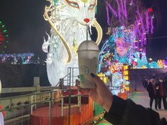 -淄博花灯齐彩城