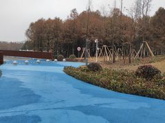-南汇新城城市公园