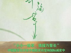 -同利肉燕老铺(澳门路店)