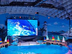 -海合安武汉极地海洋公园