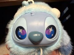 -满来寿喜烧(金虹桥店)