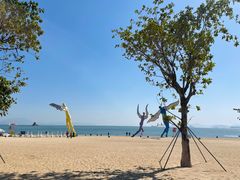 -大梅沙海滨公园