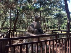 -沈阳市东陵公园