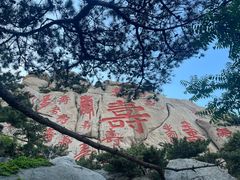 -崂山仰口游览区