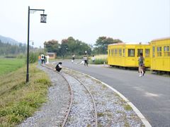 -径山花海