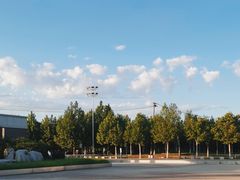 -水西公园