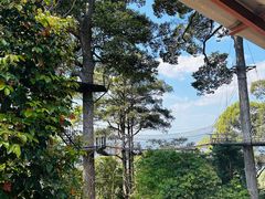 -清迈丛林飞跃 JungleFlight