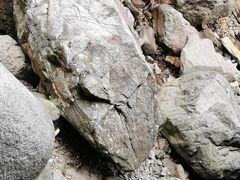 -将军关探险漂流