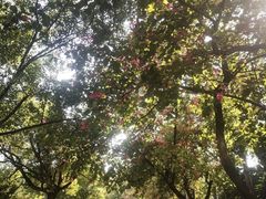 -水濂山森林公园