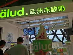 门面-Salud撒露欧洲冻酸奶(北苑上品店)