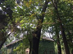 -山东大学(趵突泉校区)