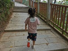 -扬美古镇景区