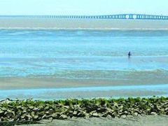 -南汇嘴观海公园