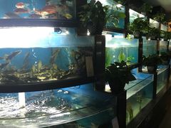 -王家渡火锅店(棕榈泉店)