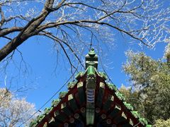 -潭柘寺景区