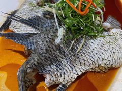 -松雅轩(大源店)