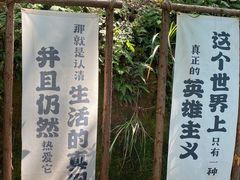 -洪崖丹井
