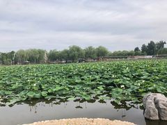 -星巴克臻选(北京太阳宫凯德店)